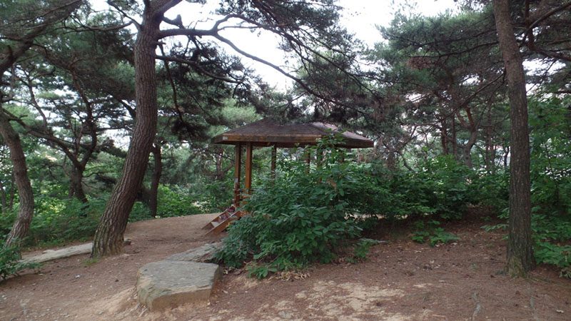 숲터의 정자